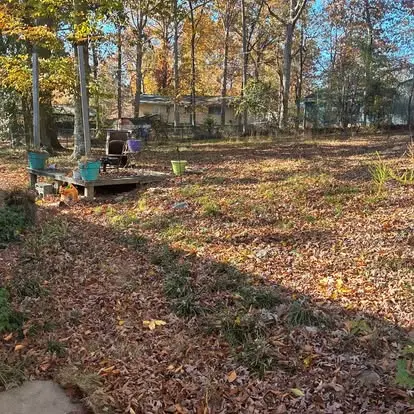 Wooded backyard buried in fallen leaves before cleanup in Greenville, SC