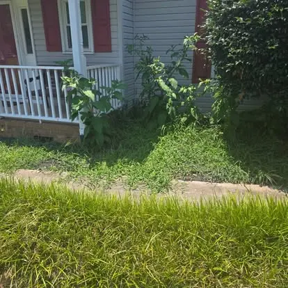 Overgrown, weedy foundation bed at a gray two-story home before cleanup in the Upstate of SC