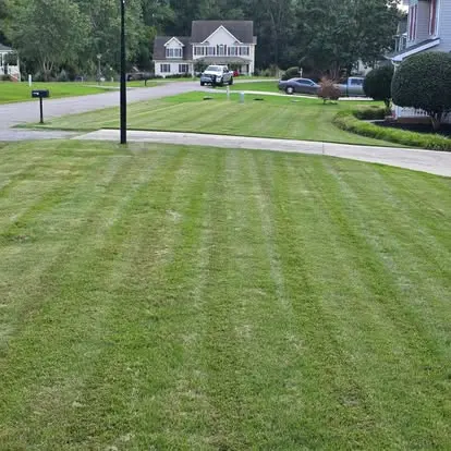 Front lawn mowed with clean stripes beside a mailbox on a Greenville, SC street
