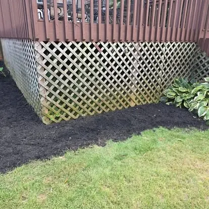 Fresh dark mulch laid around a deck with lattice and hostas at an Upstate SC home