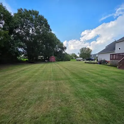 Large backyard mowed with clean stripes under a blue sky in Greenville, SC