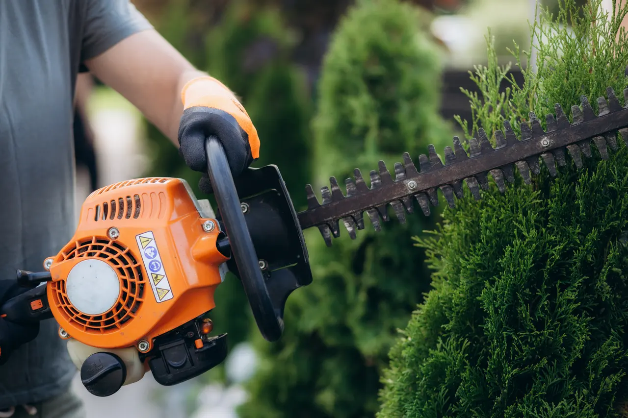 Hedge being trimmed with a hedge trimmer on a Greenville, SC property